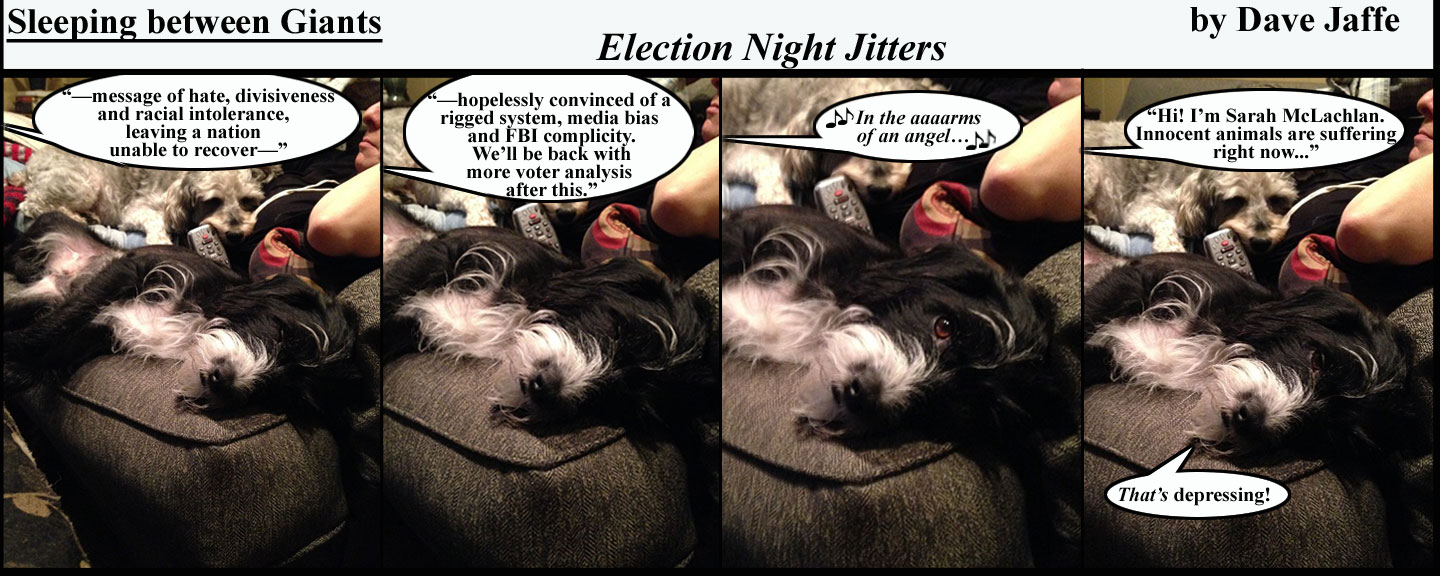 election-night-jitters-final-final-final