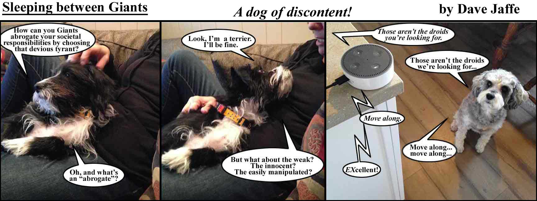 a-dog-of-discontent-final